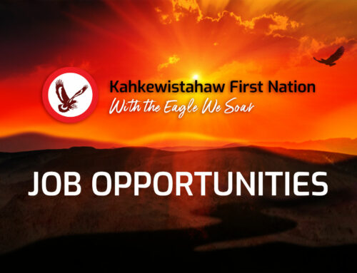 EMPLOYMENT OPPORTUNITY: VEHICLE/FLEET MANAGER